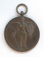 WK I Orden Rumänien Marele Razboi Medaille Interalliierte Siegesmedaille 1921 36mm Ca. 20g. In Schatulle - Autres & Non Classés