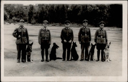 WK II MILITÄR - Foto-Ak POLIZEI-HUNDESTAFFEL - SCHÄFERHUNDE I-II - Weltkrieg 1939-45