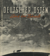 Buch WK II Deutscher Osten Land Der Zukunft Ein Ruf Des Ostens An Die Macht! Von Prof. Hoffmann, H. 1942, Vorwort RM Dr. - 1939-45