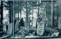 Judaika Friedrichstadt Der Jüdische Kirchhof I-II Judaisme - Jewish