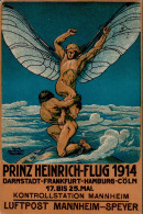 Flugereignis Mannheim Prinz Heinrich Flugtag 1914 Sign. Kaufmann, H. I-II Aviation - War 1914-18