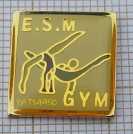 PAT14950 GYMNASTIQUE   ESM GYM   ETOILE SPORTIVE DU MARAIS à  CHALLANS En VENDEE Dpt 85 - Ginnastica