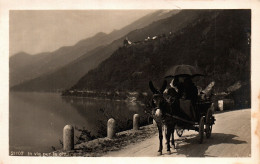 SWITZERLAND ZURICH KILCHBERG Traditional Couple Umbrella Riding Donkey Cart Towards The City Vintage Postcard REAL PHOTO - Kilchberg