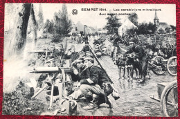 Belgique, CPA - Sempst 1914 - Neuve - (B758) - Sonstige & Ohne Zuordnung