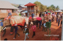 Laos Elephant Festival - Laos