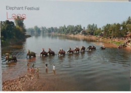 Laos Elephant Festival - Laos