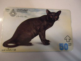 THAILAND USED CARDS OLD MAGNETIC  CAT CATS - Gatos