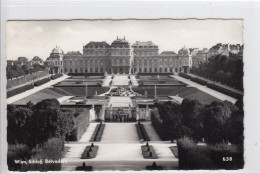 POSTCARD 2363,Austria,Vienna - Belvedère