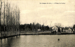 France (28) Eure Et Loire - La Loupe - L'étang Du Galoup - La Loupe