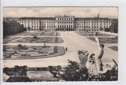 POSTCARD 2374,Austria,Vienna - Castello Di Schönbrunn