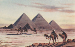 Egypt - The Pyramids Of Giza Art D.Vassiliou , Camel - Gizeh