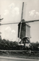 KASTERLEE  STANDAARD MOLEN              2 SCANS - Kasterlee