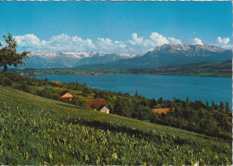 Sempachersee - Blick Gegen Die Alpen       1972 - Sempach