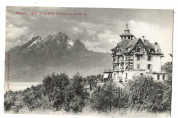 Weggis (Suisse, Lucerne) : L'Hôtel Pension Villa Alpenblick En 1910 PF. - Weggis