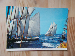 Schooner Race, Nova Scotia - Andere & Zonder Classificatie