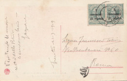 CARTOLINA 1919 2X5 C. DI CORONA TIMBRO TRENTO (MZ290 - Trente & Trieste