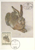 925  Dürer: "Jeune Lièvre" - "Young Hare". Albrecht Duerer, German Painter, Printmaker, Engraver - Grabados