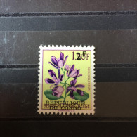 République Du Congo - 533 - Variété - Sans Cartouche - Fleurs Surchargées - Valeur Principale - 1960 - MNH - Nuevos