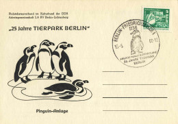 930  Manchot Pingouin, Zoo: Oblit. Temp. D'Allemagne, 1980 - Penguin, Berlin Zoo Pictorial Cancel From Germany (East) - Pingueinos