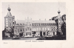 LOUVAIN Héverlé Château Carte Non Postée - Oud-Heverlee