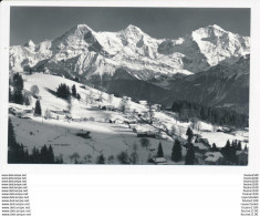 Beatenberg  Waldegg 1200 M Thunersee Finsteraarhorn Eiger MÃ¶nch  Jungfrau ( Format 14 X 9 Cm  )( Recto Verso ) - Wald