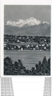 Carte De Genève  Le Mont Blanc  Et Le Coteau De Cologny ( Format C.P.A )( Recto Verso ) - Cologny