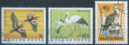 Hungary,MAGYAR - Birds - Flamencos