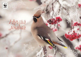 Postal Stationery - Bullfinch - Bird - Waxwing In Winter Landscape - WWF Panda Logo 2018 - Suomi Finland - Postage Paid - Postal Stationery