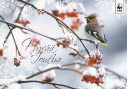 Postal Stationery - Great Tit - Bird - Waxwing In Winter Landscape - WWF Panda Logo 2018 - Suomi Finland - Postage Paid - Postal Stationery