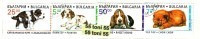 1997 Fauna DOGS 4 V.- Used/oblitere (O)  BULGARIA / BULGARIE - Used Stamps