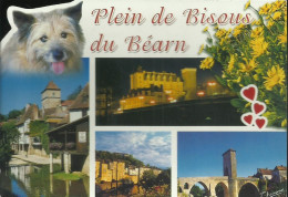 Plein De Visous Du Béarn - Multivues - Flamme Datée 28-10-02 De Bayonne Ppal - (P) - Bearn