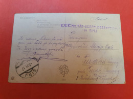 Autriche - Cachet Militaire Sur Carte Postale En Feldpost En 1917 - D 203 - Briefe U. Dokumente