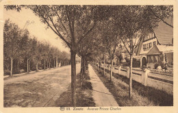 BELGIQUE - Zoute - Avenue Prince Charles - Carte Postale Ancienne - Knokke