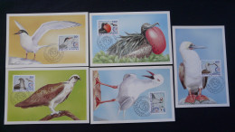 Série De 5 Set Of 5 Cartes Maximum Cards Oiseaux Birds Nouvelle Calédonie 1995 - Cartes-maximum