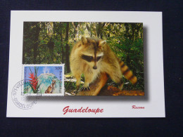 Carte Maximum Card Raton Laveur Racoon Parc National De Guadeloupe 1997 - Nager