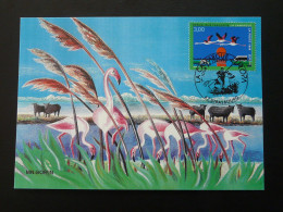 Carte Maximum Card Flamant Rose Pink Flamingo Europa France 1999 - Flamants