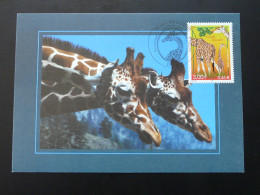 Carte Maximum Card Girafe Giraffe France 2000 - Jirafas