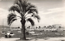 FRANCE - Saint Raphael - Le Port - Bateaux - Carte Postale Ancienne - Saint-Raphaël