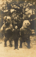 Cirque Circus * RARE Carte Photo ! * Un Dompteur D'éléphants * Pinder ? Bouglione ? Autre ? * Numéro éléphant - Cirque