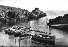 Ile D'yeu * Le Port De La Meule * Bateaux Pêche - Ile D'Yeu