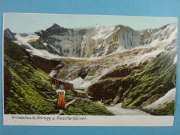 Grindelwald Baregg U. Viescherhorner - Grindelwald