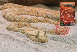 LIBYA 1996 Reptiles Snakes "Cerastes Cerastes" (maximum-card) #11 - Serpenti