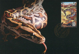 LIBYA 1996 Reptiles Snakes "Python Sp." (maximum-card) #2 - Serpenti