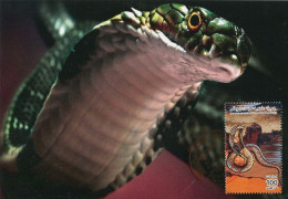 LIBYA 1996 Reptiles Snakes Cobra "Elapidae" (maximum-card) #7 - Serpenti
