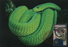 LIBYA 1996 Reptiles Snakes "Dendroaspis Viridis" (maximum-card) #4 - Snakes