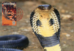 LIBYA 1996 Reptiles Snakes Cobra "Elapidae" (maximum-card) #6 - Snakes