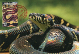 LIBYA 1996 Reptiles Snakes "Python Molurus Bivittatus" (maximum-card) #1 - Snakes