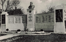 BELGIQUE - Hasselt - Monument Léopold II - Carte Postale Ancienne - Hasselt