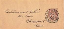 BANDE ENTIER BLANC 2C MARSEILLE 8/6/1910 POUR MAZAMET TARN YT 108-BJ5 - Bandas Para Periodicos