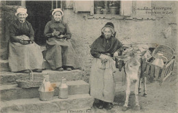 Auvergne * N°57 * 1906 * Vendeuse De Lait * Laitière âne Donkey Milk Métier * Femmes Coiffe Costume - Autres & Non Classés